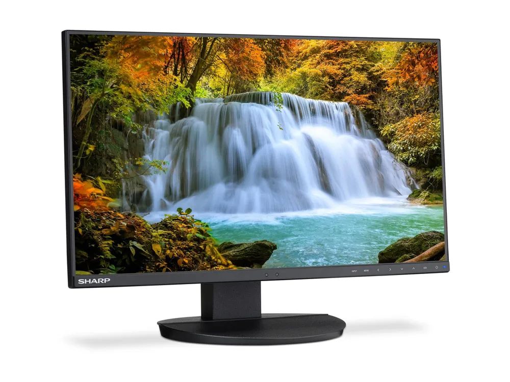 NEC Sharp MultiSync EA242F - LED-Monitor - 60.5 cm (23.8")