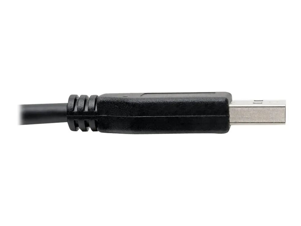 Tripp Eaton Tripp Lite Series USB-C to USB-A Cable (M/M)