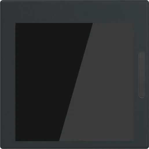 Busch-Jaeger 2,4'' DISPLAY 55 / BUSCH SD/U12.55.11-825 2TMA310010B0001