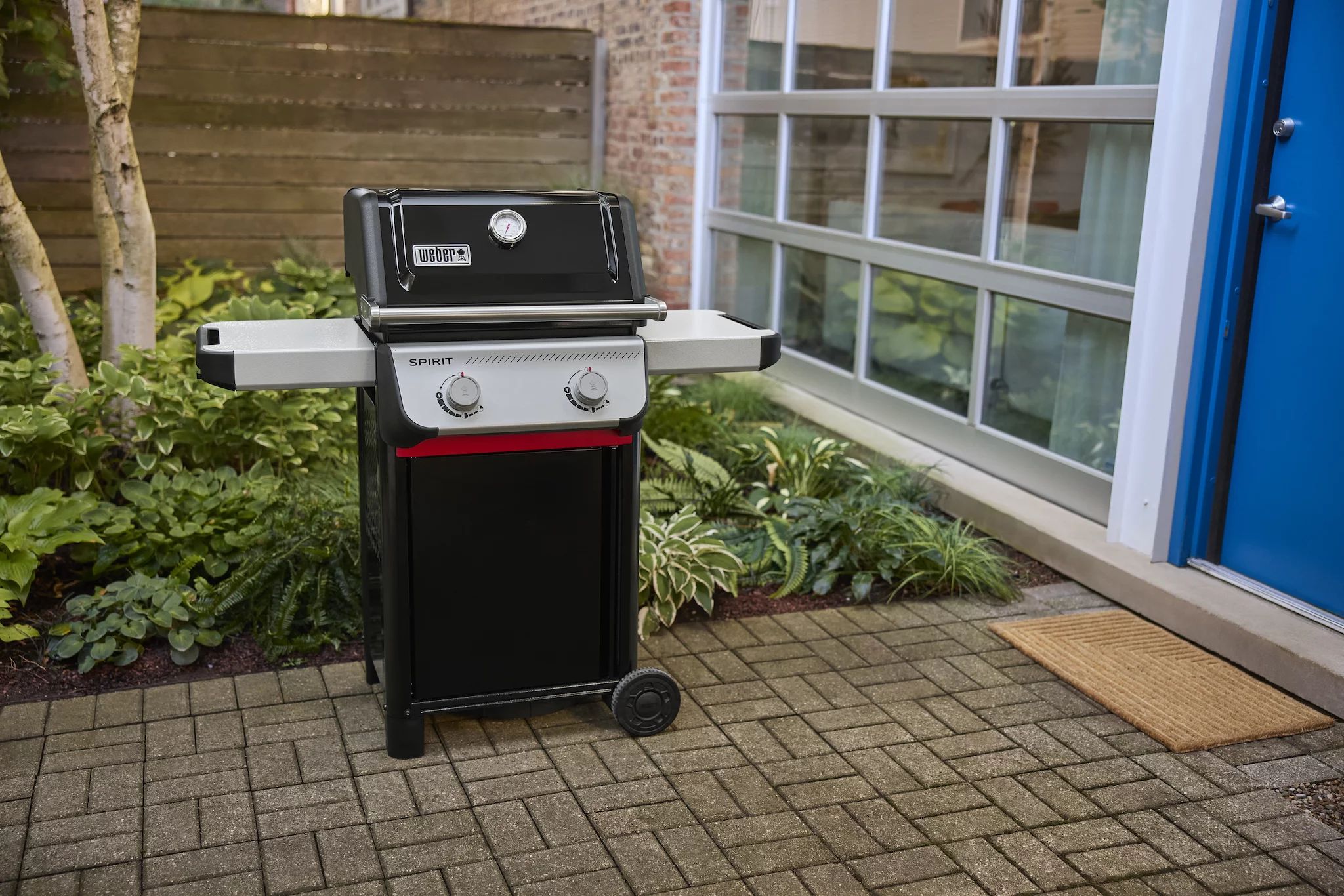 Weber SPIRIT E-210 (2025)