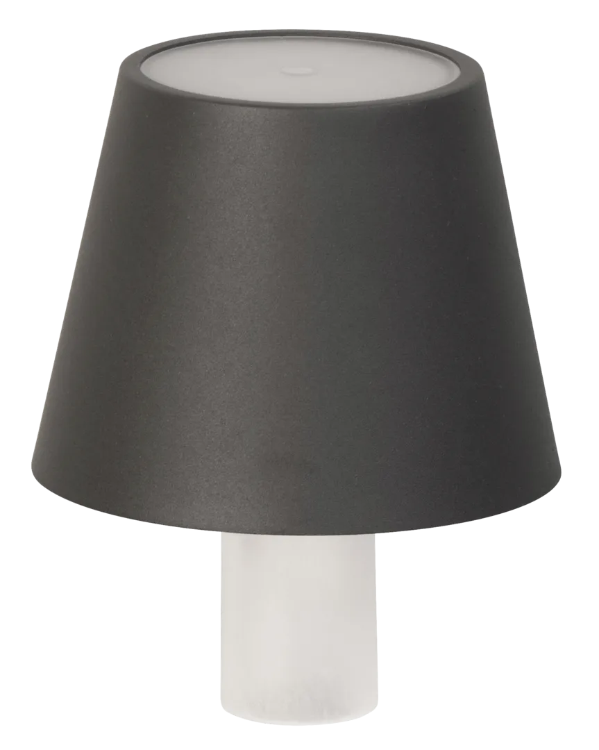 FH Lighting GmbH Flaschenlampe FIOCCO grau CCT