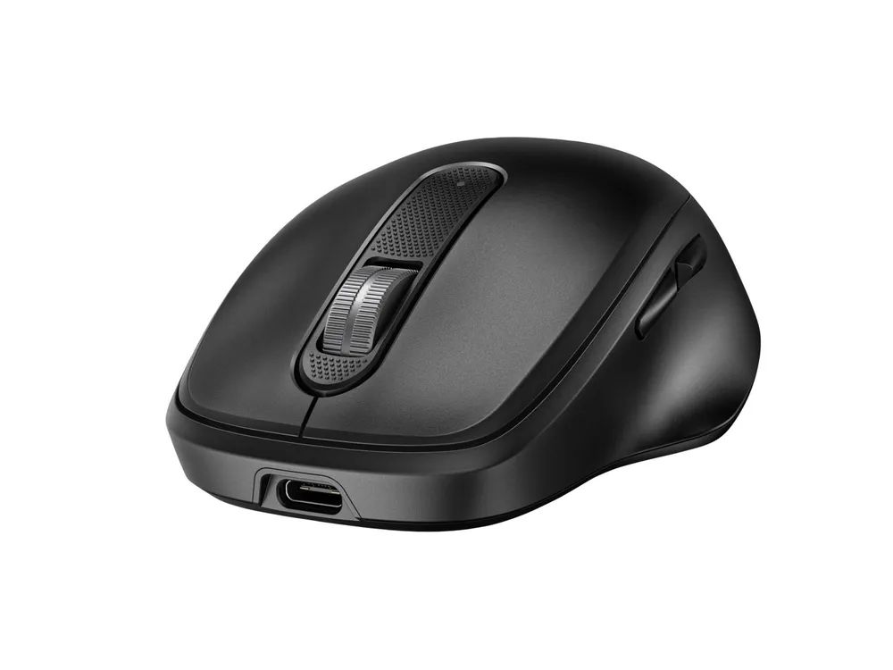 HP 510 - Maus - vollständig, ultraschnell aufladbar - 5 Tasten - kabellos - 2.4 GHz - kabelloser Empfänger (USB)