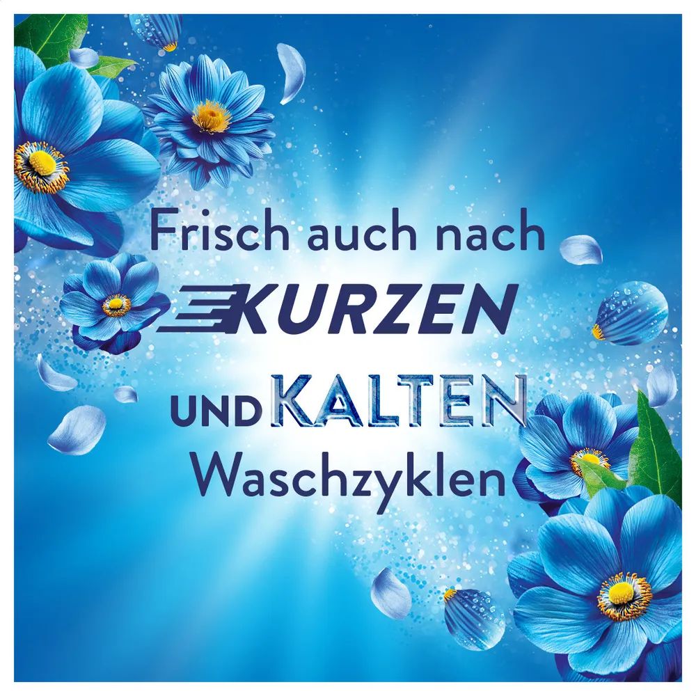 Lenor Küstenblumen & Zypresse Flasche - 1491ml 
