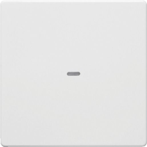 Berker KNX Q.X ABDECKUNG PWS / BERKER 80960229