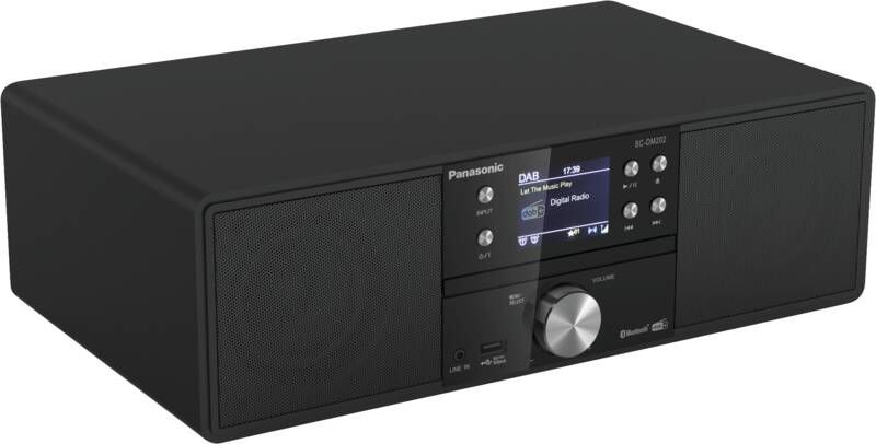 Panasonic Kompaktanlage SC-DM202EG-K