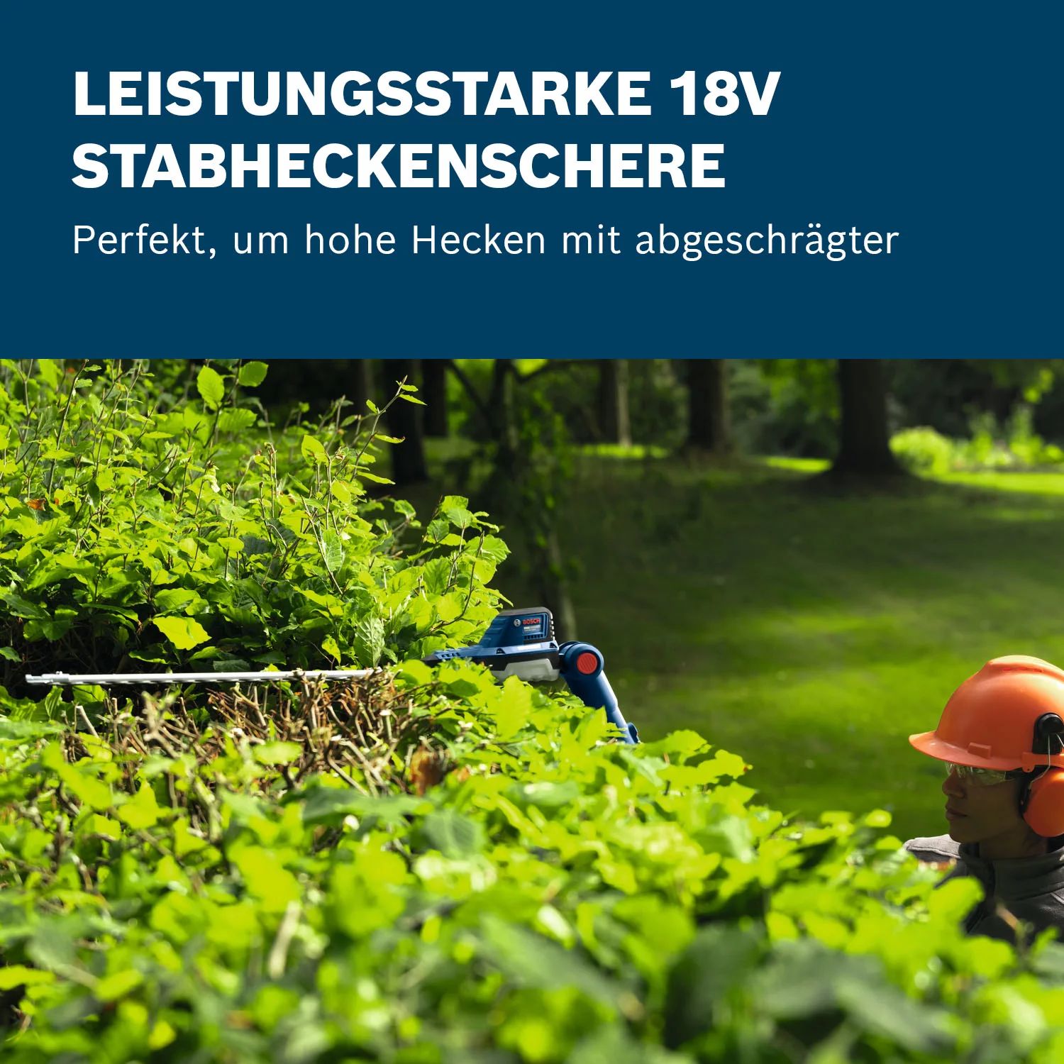 Bosch GHE18V-50 FP  Akku-Heckenschere solo