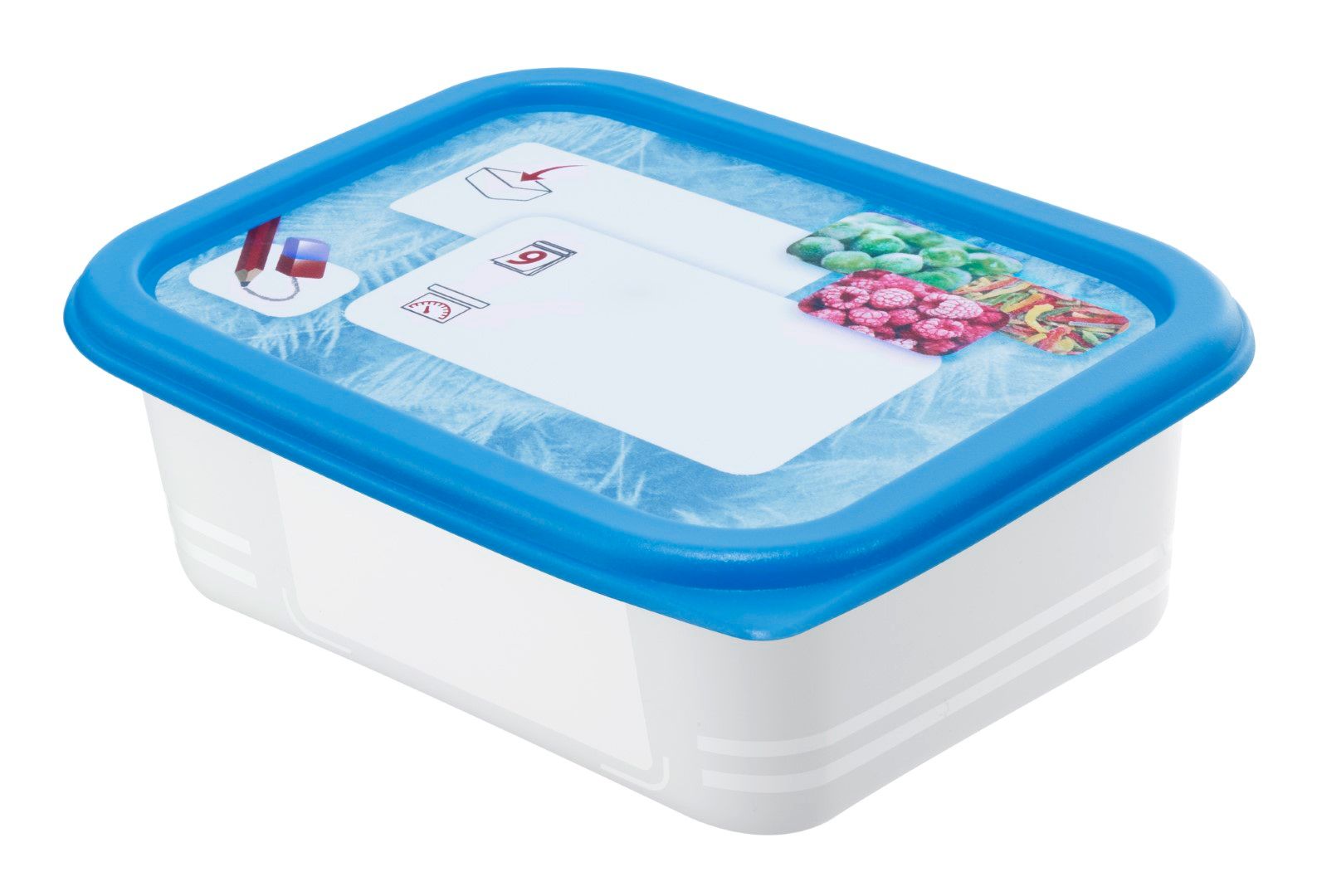 Rotho Set Gefrierdosen 4 x 0.5 l DOMINO