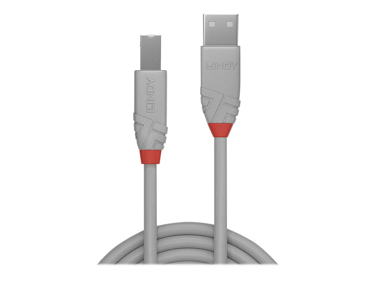 Lindy Anthra Line - USB-Kabel - USB (M) zu USB Typ B (M)