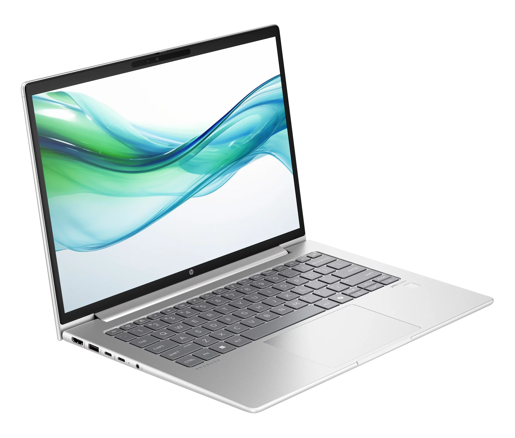 HP ProBook 460 G11 Pike Silver, Core Ultra 5 125U