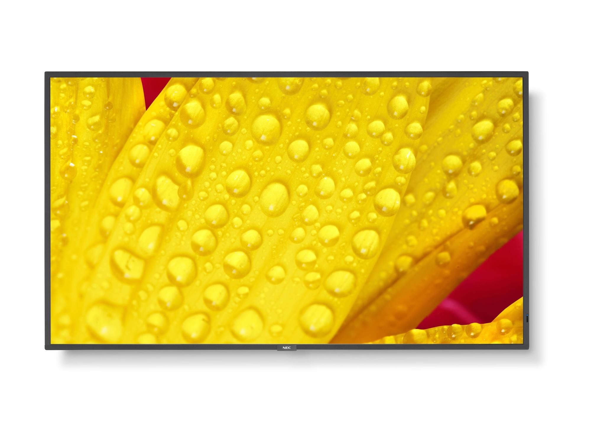 NEC MultiSync M431-2 - 109 cm (43") Diagonalklasse (108 cm (42.5")