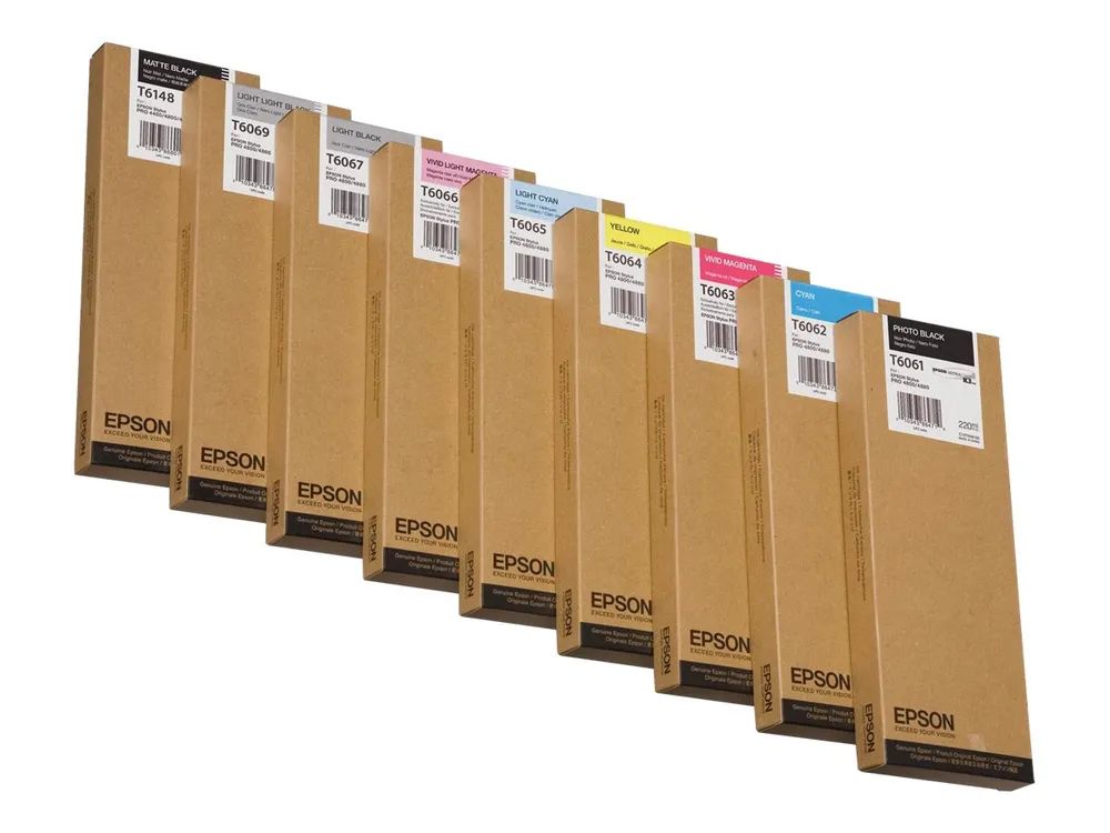 Epson T6067 - Druckerpatrone - 1 x Schwarz