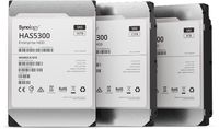 Synology HAS5300 - Festplatte - 12 TB - intern - 3.5" (8.9 cm)