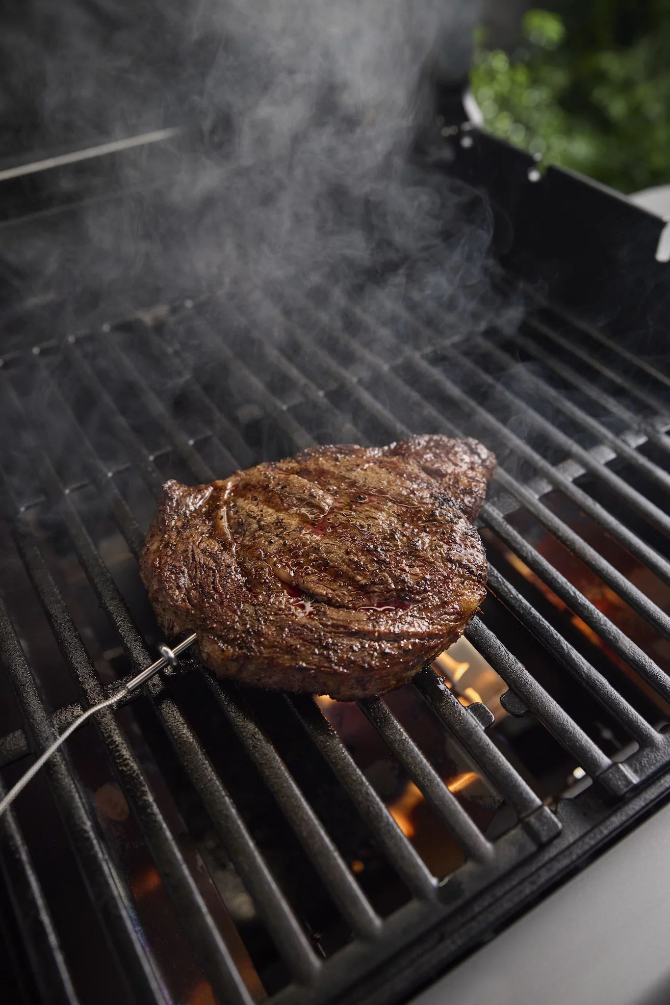 Weber Messfühler für Grillgut   