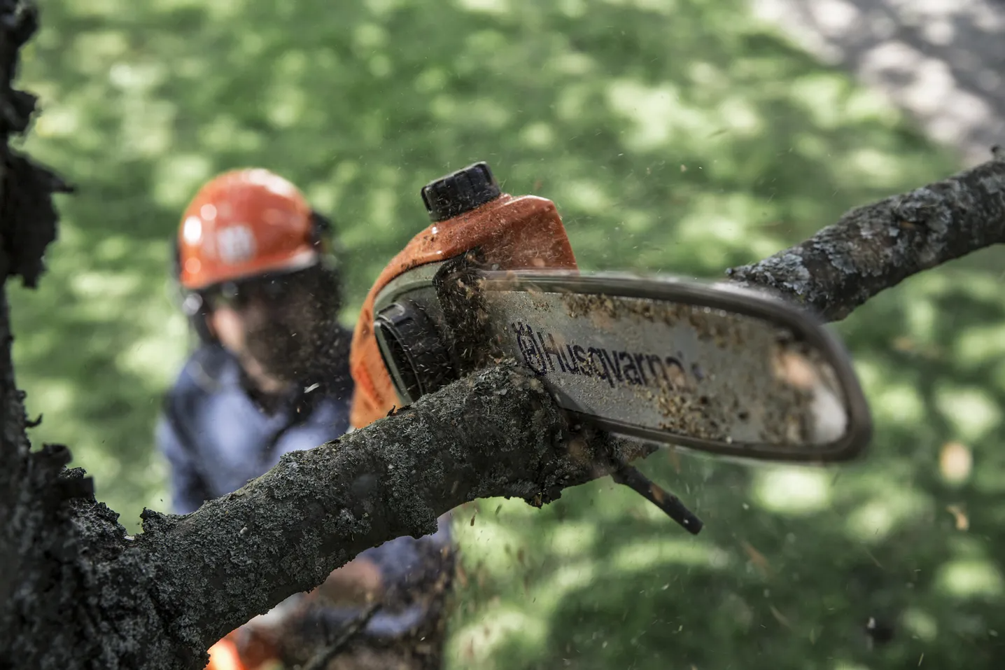 Husqvarna 530iPT5