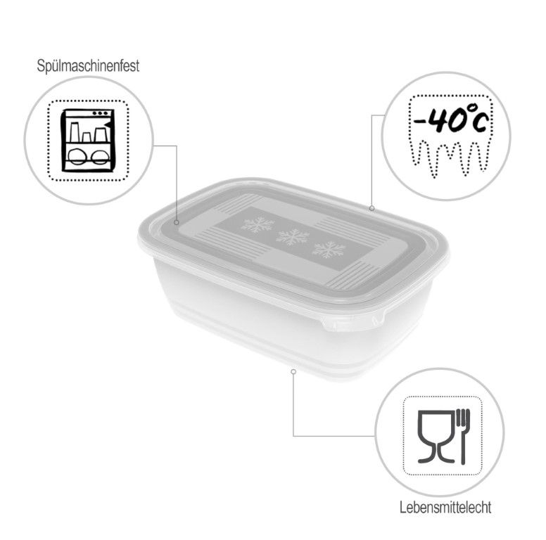 Rotho Set Gefrierdosen 2 x 1.9 l FREEZE