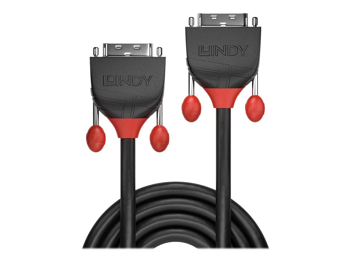 Lindy Black Line - DVI-Kabel - Dual Link - DVI-D (M)
