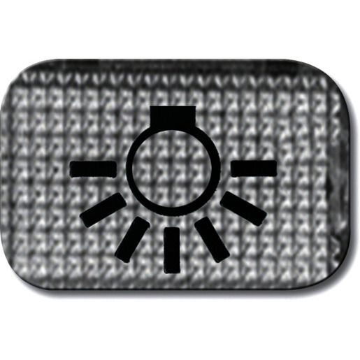 Busch-Jaeger TASTERSYMBOL 2145 LI TRANSP. / BUSCH 2145 LI 2CKA001714A0211