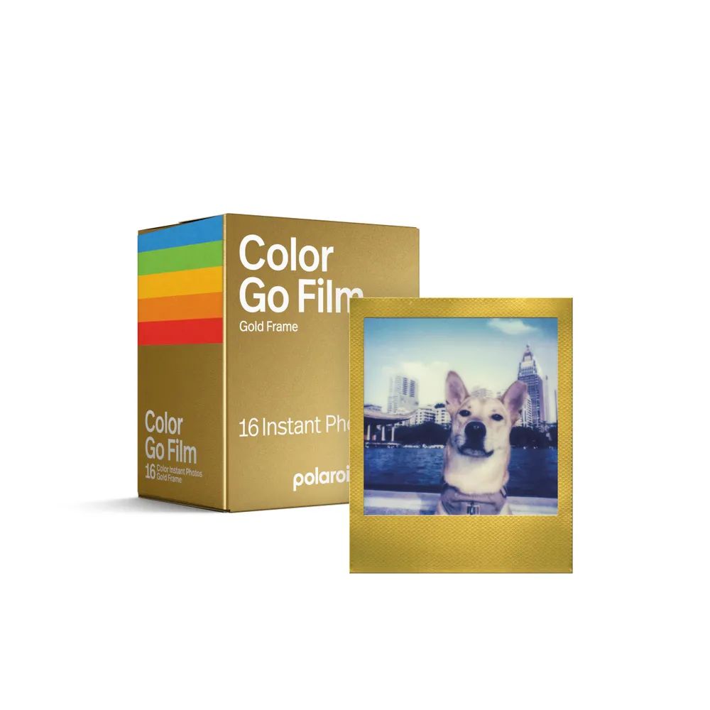 Polaroid GO FILM COLOR DOPPELPACK GOLD FRAME EDITION