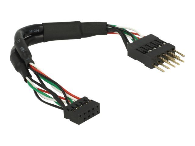 Delock USB 2.0 Pin Header - Internes USB-Kabel - 10-poliger USB-Header (W)
