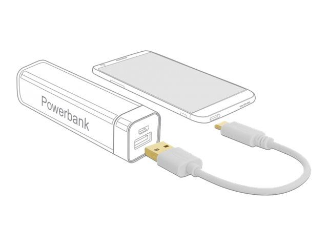 Delock USB-Kabel - USB (nur Strom) (M) zu USB-C (nur Spannung)