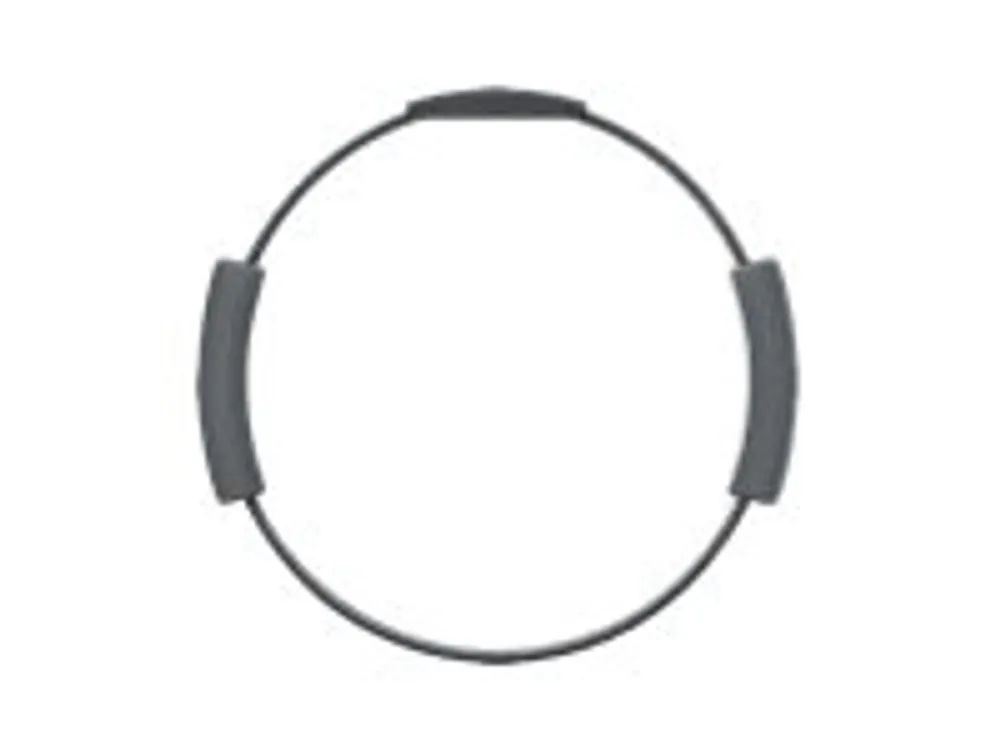 Nintendo Ring Fit Adventure