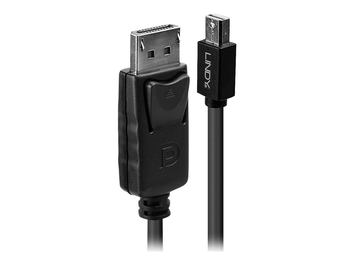 Lindy DisplayPort-Kabel - DisplayPort (M)