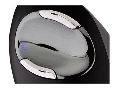 Evoluent VerticalMouse D Large - Vertikale Maus - ergonomisch - Laser - 6 Tasten - kabellos - kabelloser Empfänger (USB)