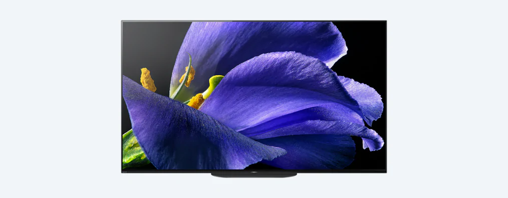 Sony KD-55AG9 Set inkl. 60 Monate Garantie