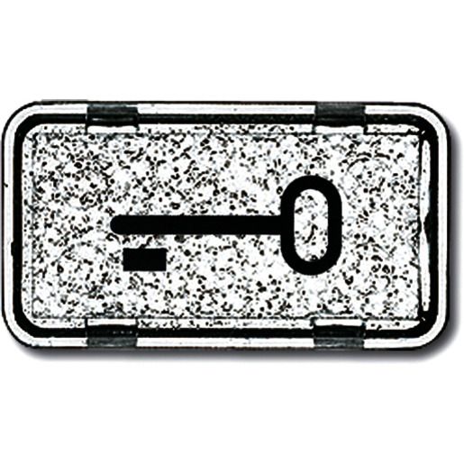 Busch-Jaeger ALLW. TASTERSYMBOL 2622 TR-101 / BUSCH 2622 TR-101 2CKA001714A0286