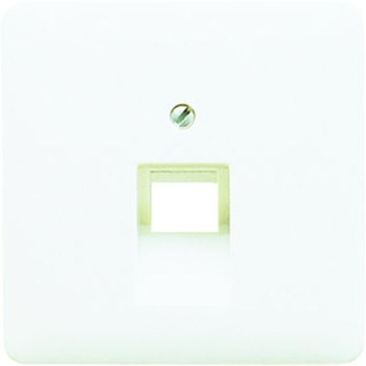 Jung ZENTRALPL.F.IAE/UAE (1X8-POL.) / JUNG CD 569-1 UA WW CD569-1UAWW