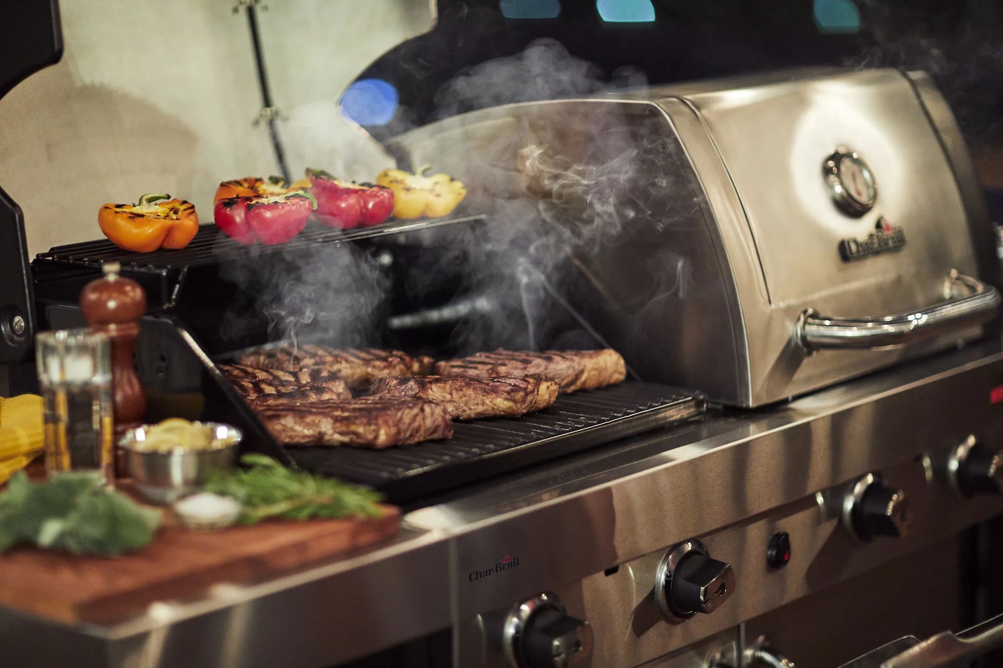 Char Broil Professional 4600 S