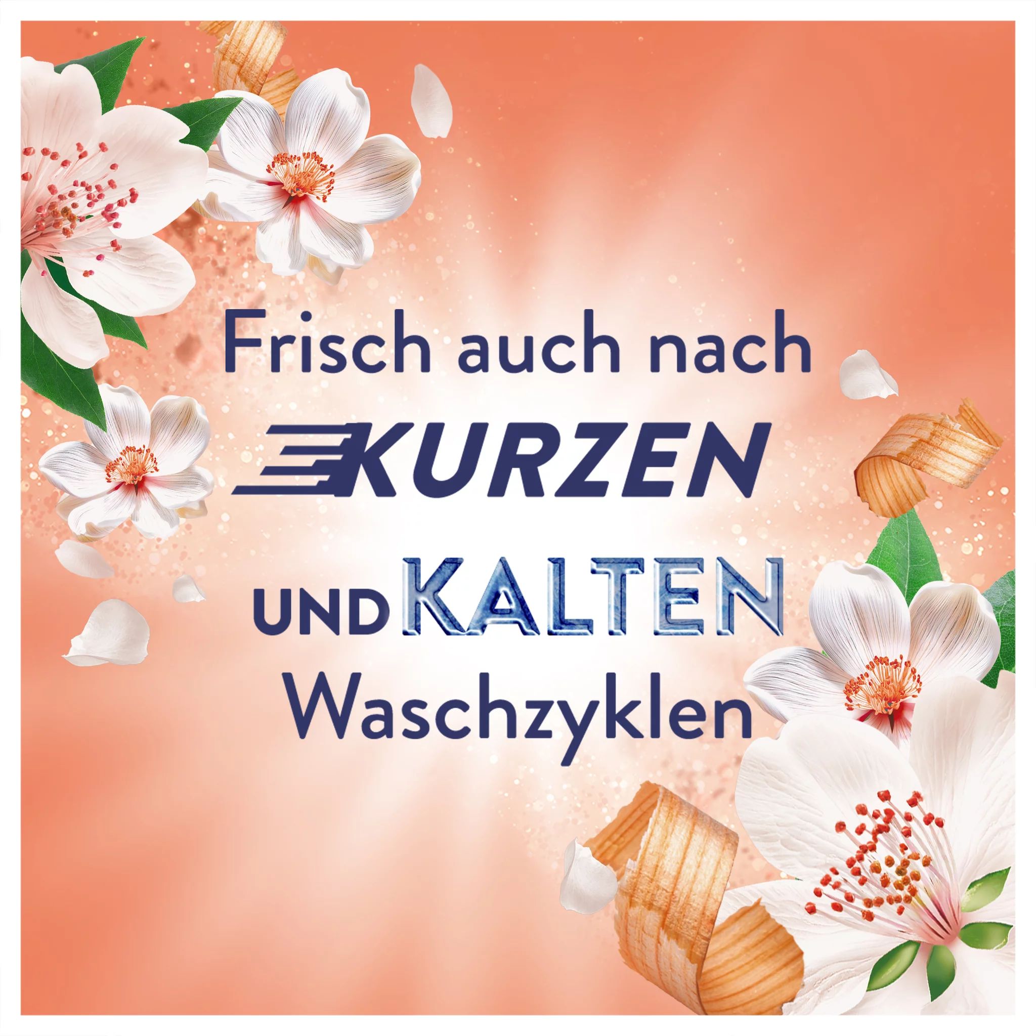Lenor Jasminblüte & Weiße Zeder - 1491ml - 71WL