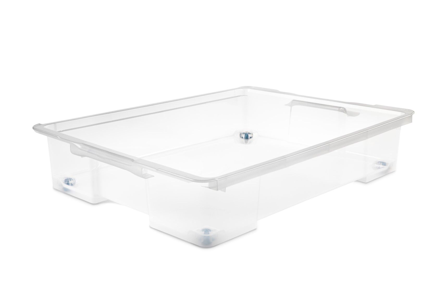 Rotho Unterbettbox 50 l EVO EASY