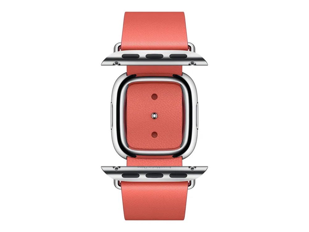 Apple 40mm Modern Buckle - Uhrarmband für Smartwatch