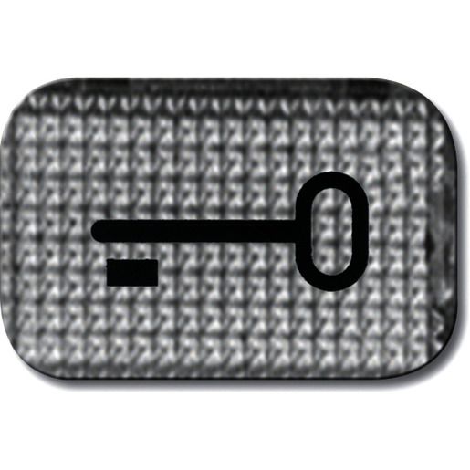 Busch-Jaeger TASTERSYMBOL 2145 TR TRANSP. / BUSCH 2145 TR 2CKA001714A0237