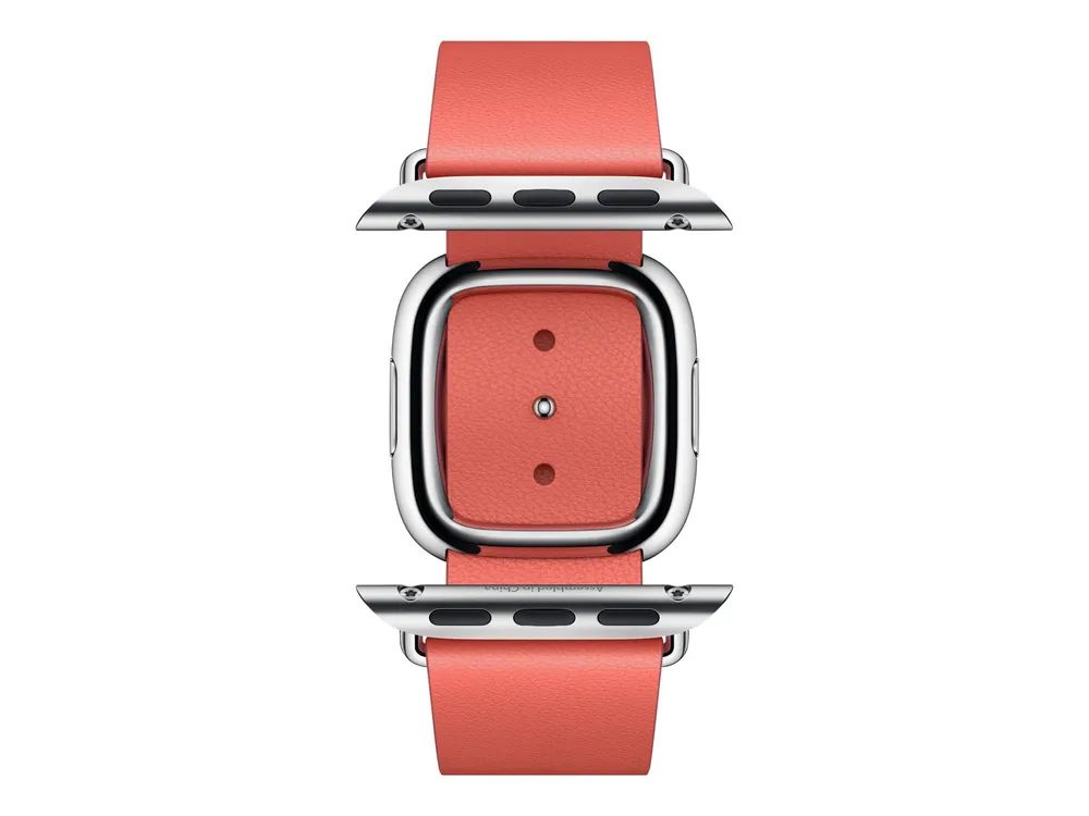Apple 40mm Modern Buckle - Uhrarmband für Smartwatch