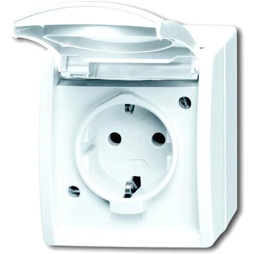 Busch-Jaeger FR AP STD BESCHR. / BUSCH 20 EWN-54 2CKA002083A0831