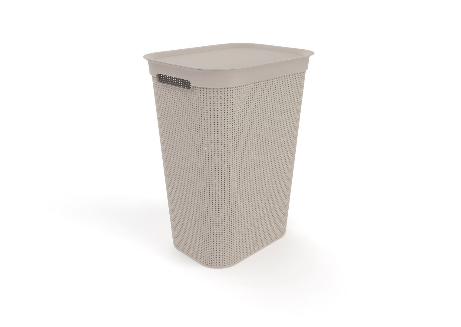 Rotho Wäschesammler 50 L BRISEN