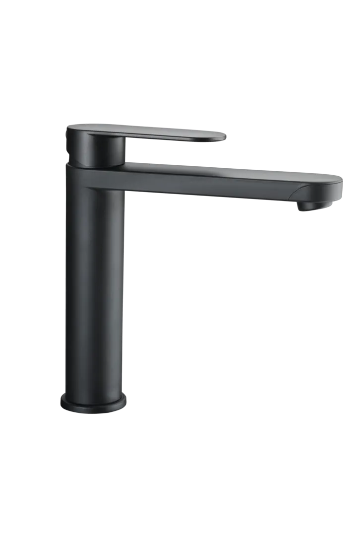 Reich Wasserhahn Linea L black Küche