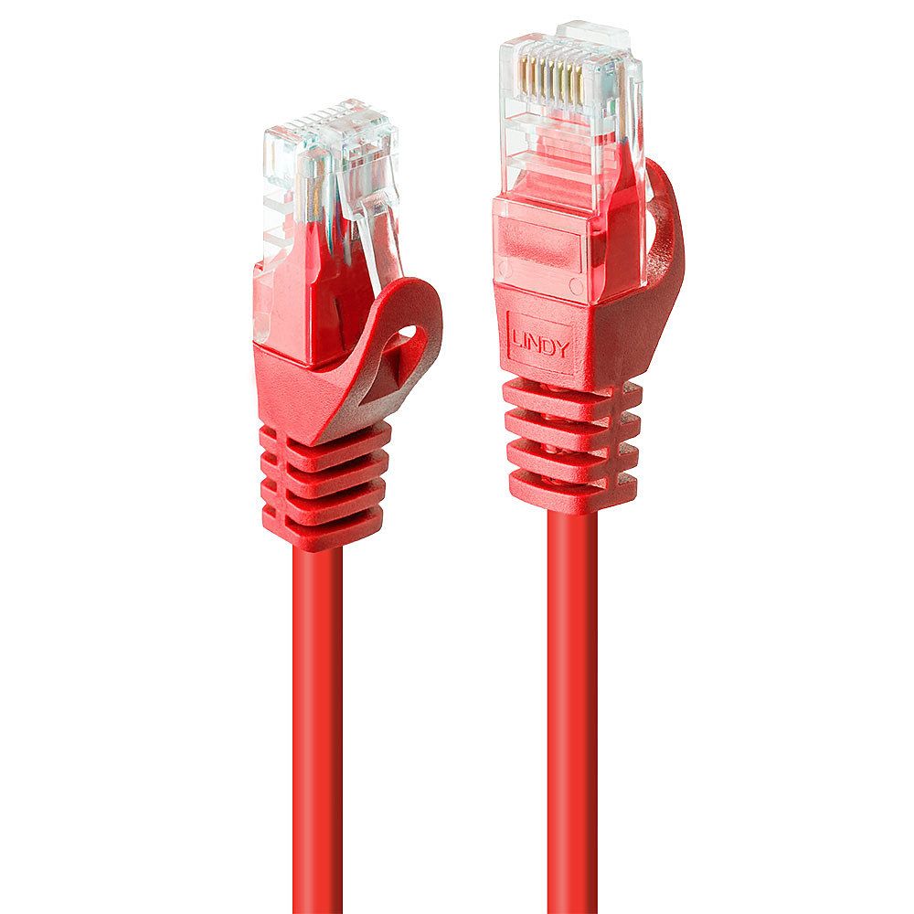 Lindy Basic - Patch-Kabel - RJ-45 (M) bis RJ-45 (M)