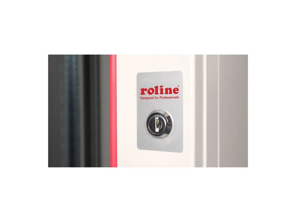 ROLINE Pro - Schrank Netzwerkschrank - 600 x 450 mm (T x B)