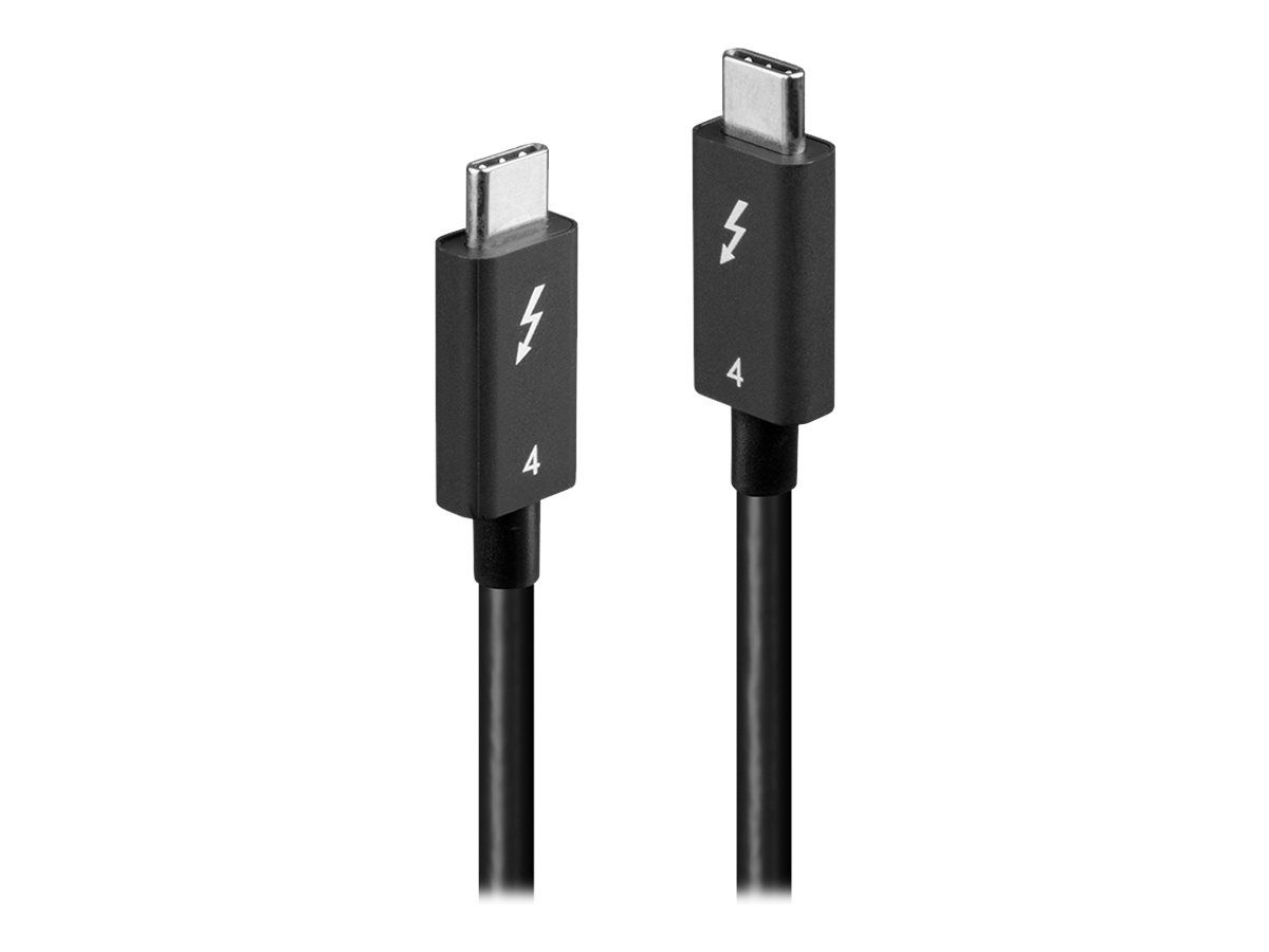 Lindy USB-Kabel - 24 pin USB-C (M) zu 24 pin USB-C (M)