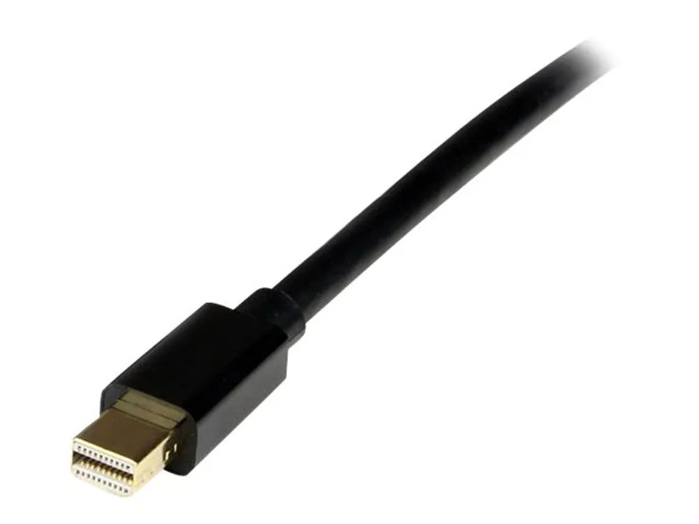StarTech.com Mini DisplayPort auf DisplayPort Adapterkabel 4m (Stecker/Stecker)