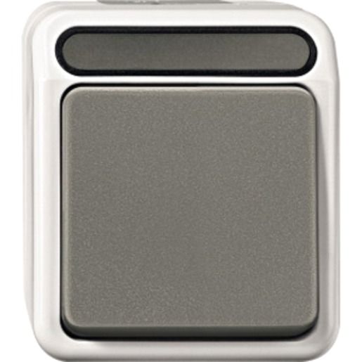 Merten FR-TASTER AP LGR AQUASTAR / MERTEN MEG3150-8029
