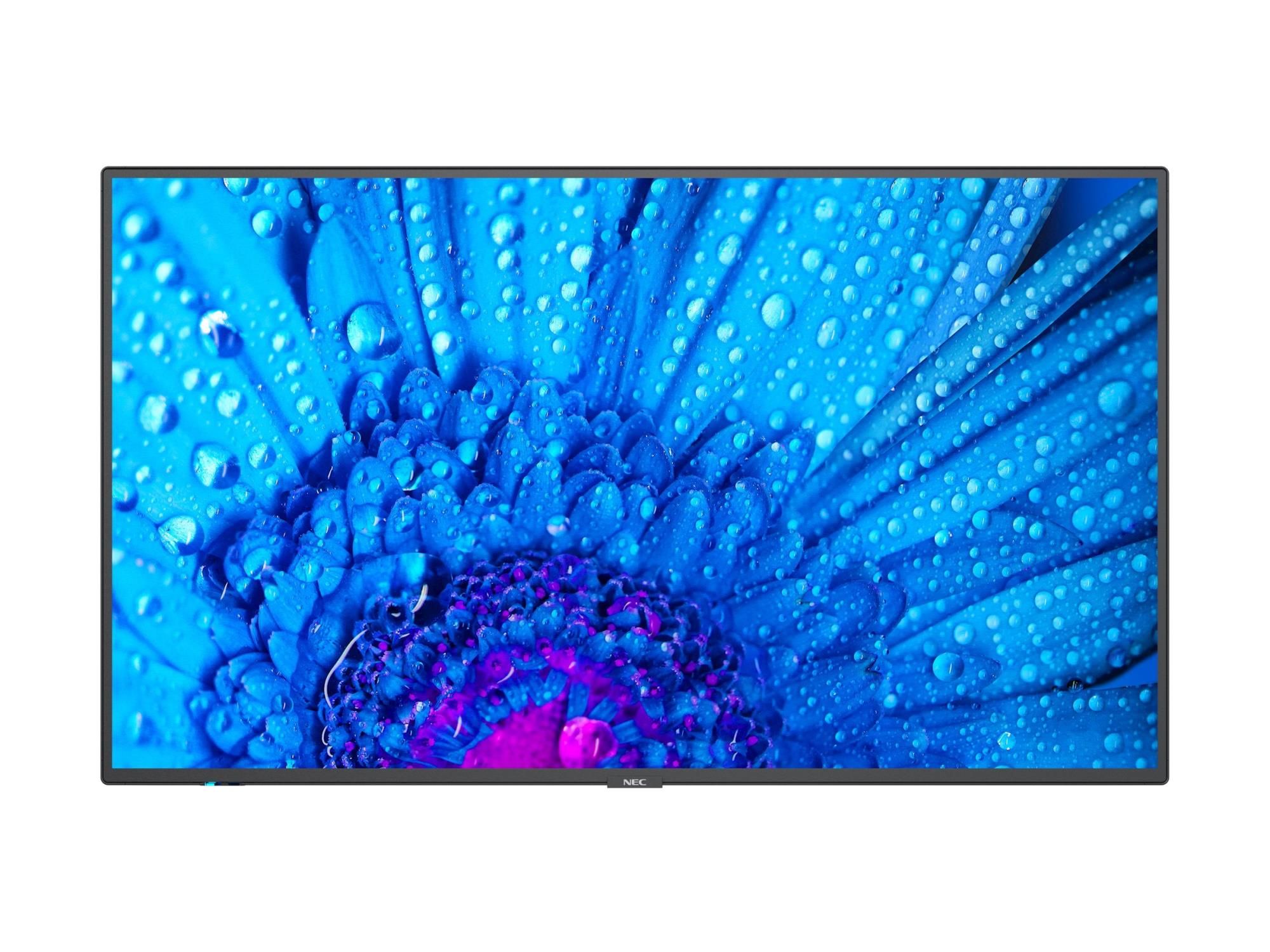 NEC MultiSync M751 - 189.3 cm (75") Diagonalklasse M Series LCD-Display mit LED-Hintergrundbeleuchtung - Digital Signage - mit mit SoC Mediaplayer - 4K UHD (2160p)