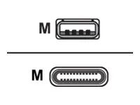 Cisco USB-Kabel - USB (M) zu USB-C (M) - 4