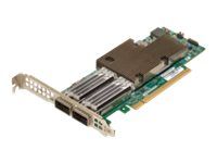 BROADCOM NetXtreme E-Series P2100G - Netzwerkadapter